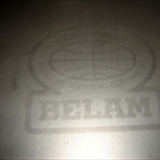 Belam meat injector (7)